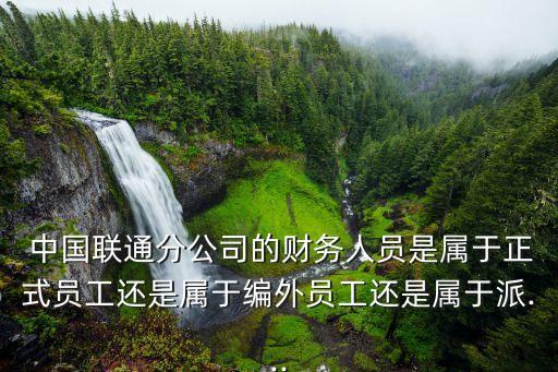  中國聯通分公司的財務人員是屬于正式員工還是屬于編外員工還是屬于派...