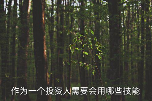 作為一個(gè)投資人需要會(huì)用哪些技能