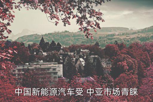 中國新能源汽車受 中亞市場青睞