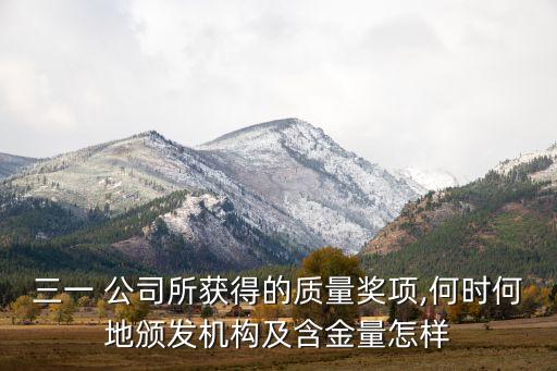 三一 公司所獲得的質量獎項,何時何地頒發(fā)機構及含金量怎樣