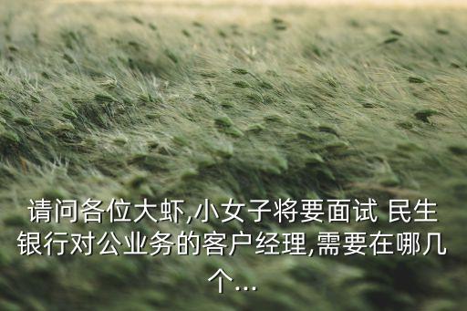 中國(guó)民生銀行財(cái)務(wù)總監(jiān)