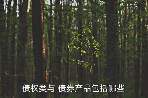 債權類與 債券產品包括哪些