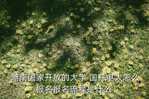  湖南國家開放的大學 國開電大怎么報名報名流程是什么