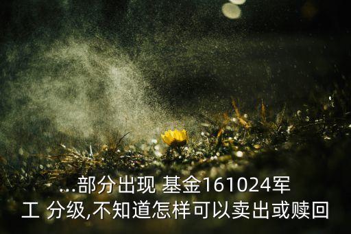 ...部分出現(xiàn) 基金161024軍工 分級(jí),不知道怎樣可以賣出或贖回