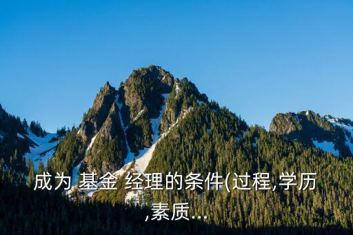 怎樣才能成為基金經(jīng)理,馮明遠基金經(jīng)理怎樣