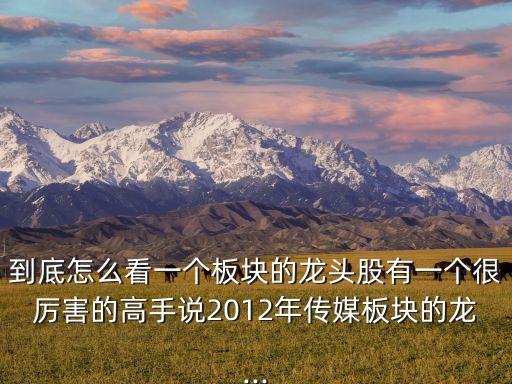 到底怎么看一個(gè)板塊的龍頭股有一個(gè)很厲害的高手說2012年傳媒板塊的龍...
