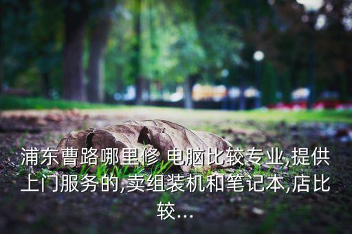 浦東曹路哪里修 電腦比較專業(yè),提供上門服務的,賣組裝機和筆記本,店比較...