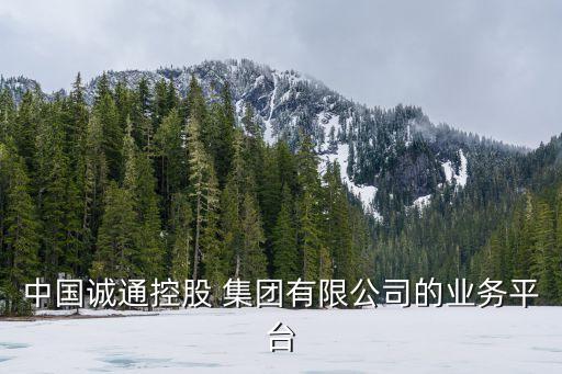 中國誠通控股 集團(tuán)有限公司的業(yè)務(wù)平臺(tái)