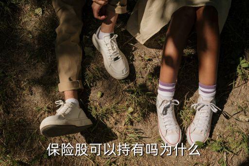 保險(xiǎn)股可以持有嗎為什么