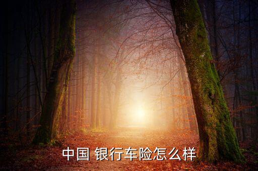 中國 銀行車險怎么樣