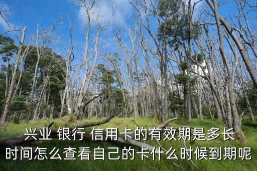  興業(yè) 銀行 信用卡的有效期是多長時(shí)間怎么查看自己的卡什么時(shí)候到期呢