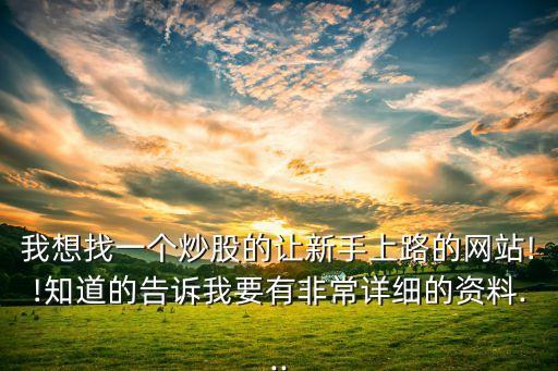 我想找一個(gè)炒股的讓新手上路的網(wǎng)站!!知道的告訴我要有非常詳細(xì)的資料...