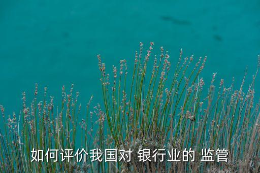 如何評價我國對 銀行業(yè)的 監(jiān)管