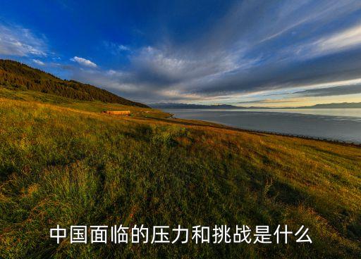 中國(guó)面臨的壓力和挑戰(zhàn)是什么