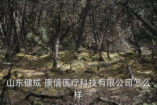 上?？敌湃谫Y租