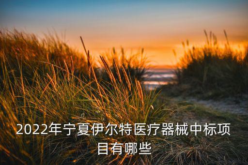 2022年寧夏伊爾特醫(yī)療器械中標(biāo)項目有哪些