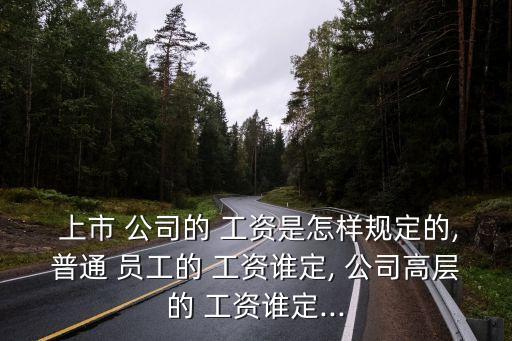  上市 公司的 工資是怎樣規(guī)定的,普通 員工的 工資誰(shuí)定, 公司高層的 工資誰(shuí)定...