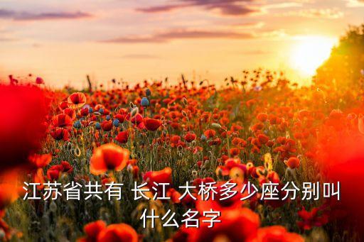 江蘇省共有 長(zhǎng)江 大橋多少座分別叫什么名字