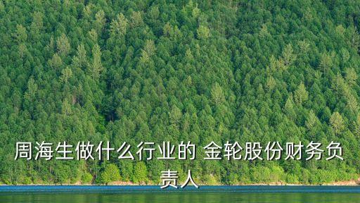 周海生做什么行業(yè)的 金輪股份財務負責人