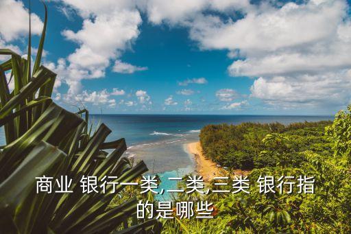 商業(yè) 銀行一類(lèi),二類(lèi),三類(lèi) 銀行指的是哪些