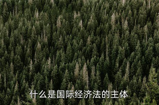 什么是國際經濟法的主體