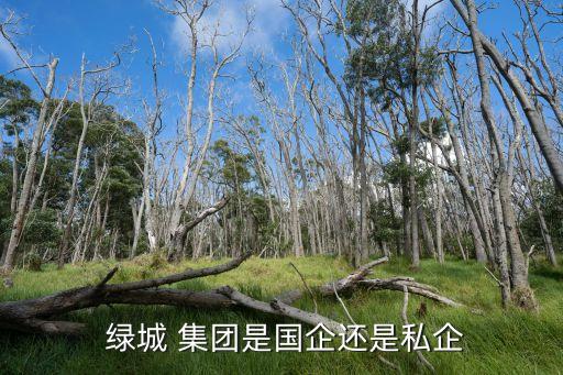  綠城 集團(tuán)是國企還是私企