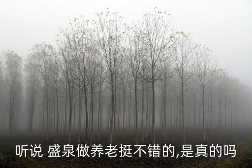 盛泉集團(tuán)上市,盛泉科技什么時候上市