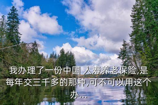 我辦理了一份中國 人壽養(yǎng)老保險(xiǎn),是每年交三千多的那種,可不可以用這個辦...