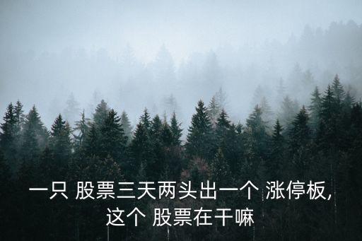 股票天量漲停說(shuō)明什么,股票跳空高開漲停意味著什么