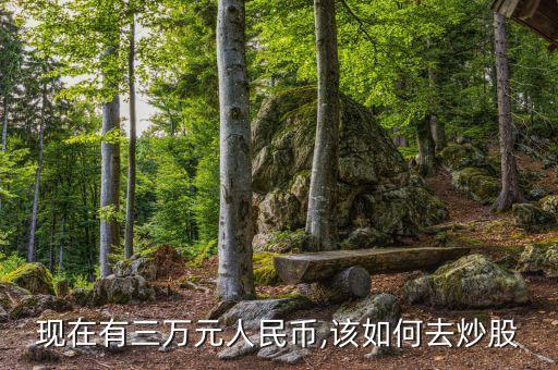 現在有三萬元人民幣,該如何去炒股