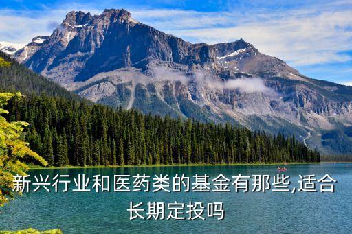 新興行業(yè)和醫(yī)藥類(lèi)的基金有那些,適合長(zhǎng)期定投嗎