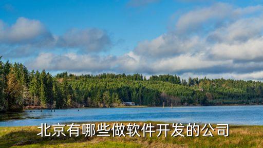  北京有哪些做軟件開(kāi)發(fā)的公司