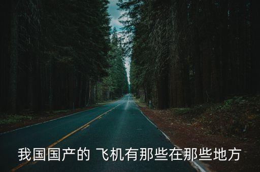 中國產(chǎn)飛機(jī)