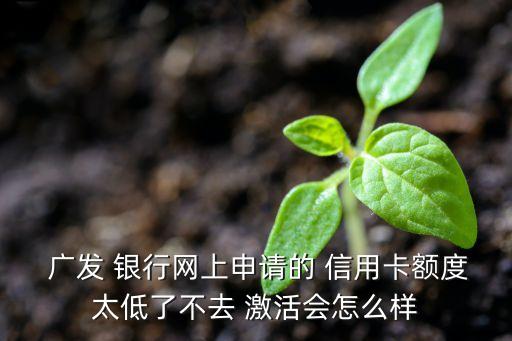  廣發(fā) 銀行網上申請的 信用卡額度太低了不去 激活會怎么樣