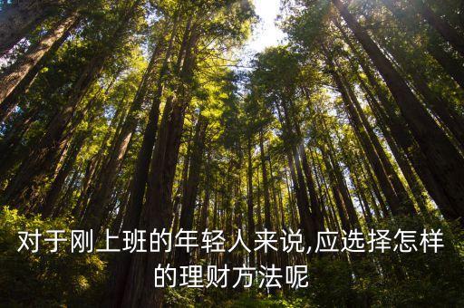 對于剛上班的年輕人來說,應選擇怎樣的理財方法呢