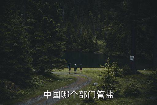 中國哪個部門管鹽