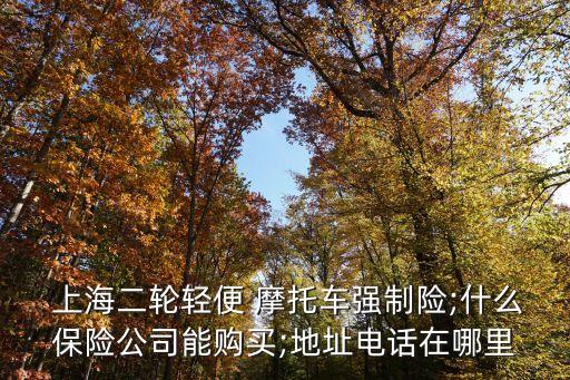  上海二輪輕便 摩托車強(qiáng)制險;什么保險公司能購買;地址電話在哪里