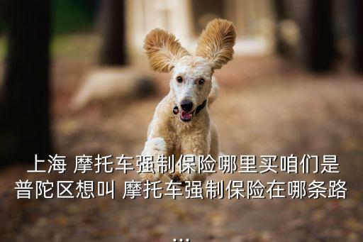 上海 摩托車強(qiáng)制保險哪里買咱們是普陀區(qū)想叫 摩托車強(qiáng)制保險在哪條路...