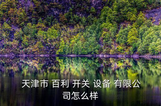  天津市 百利 開關(guān) 設(shè)備 有限公司怎么樣
