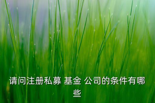 請(qǐng)問注冊(cè)私募 基金 公司的條件有哪些