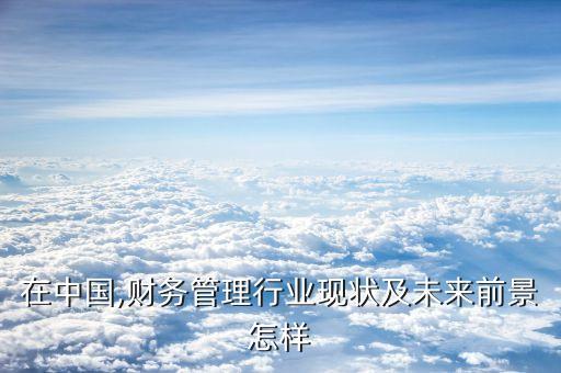 在中國(guó),財(cái)務(wù)管理行業(yè)現(xiàn)狀及未來前景怎樣