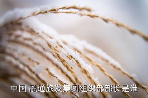 中國 融通旅發(fā)集團(tuán)組織部部長(zhǎng)是誰