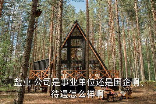  鹽業(yè) 公司是事業(yè)單位還是國企啊、待遇怎么樣啊
