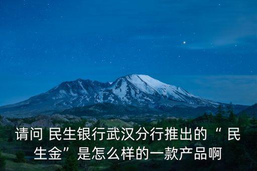 請(qǐng)問 民生銀行武漢分行推出的“ 民生金”是怎么樣的一款產(chǎn)品啊