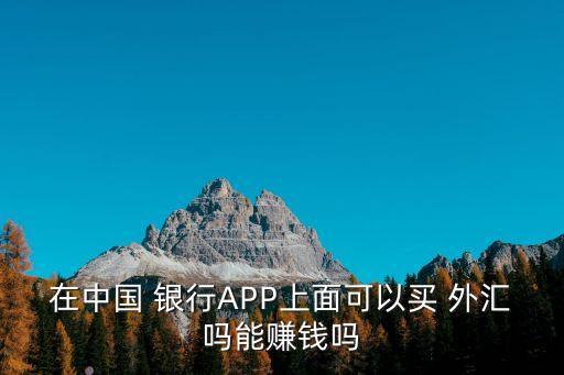 在中國(guó) 銀行APP上面可以買(mǎi) 外匯嗎能賺錢(qián)嗎