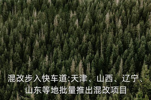 混改步入快車道:天津、山西、遼寧、山東等地批量推出混改項(xiàng)目