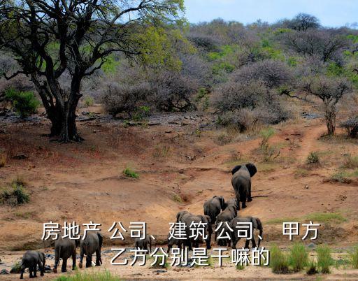  房地產(chǎn) 公司、建筑 公司、 甲方、乙方分別是干嘛的