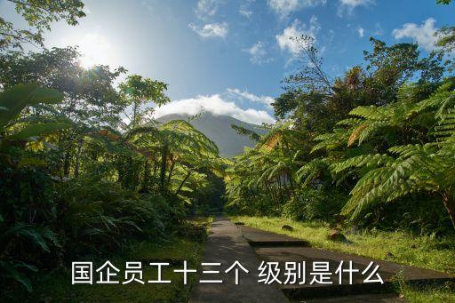 國企員工十三個(gè) 級(jí)別是什么