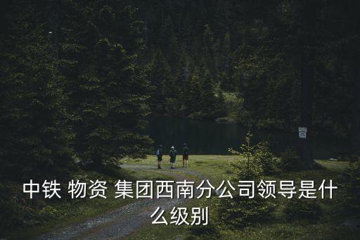 中鐵 物資 集團西南分公司領(lǐng)導是什么級別