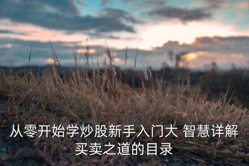 從零開(kāi)始學(xué)炒股新手入門大 智慧詳解買賣之道的目錄